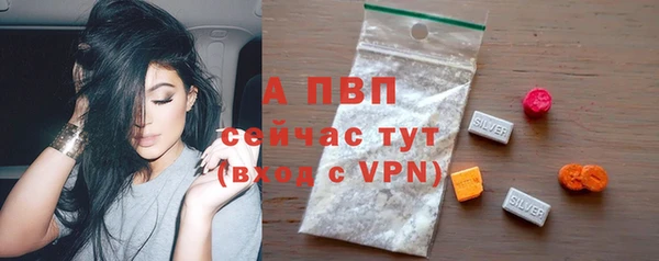прущие грибы Пролетарск