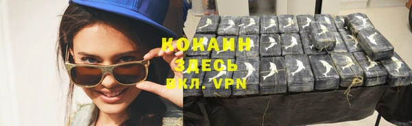 прущие грибы Пролетарск