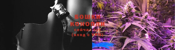 прущие грибы Пролетарск