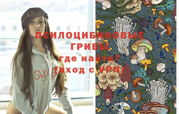 прущие грибы Пролетарск