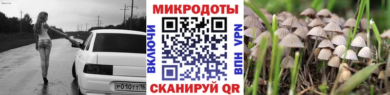 Галлюциногенные грибы мицелий  где найти   Сусуман 